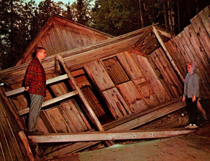 Mystery Spot - Old Postcard (newer photo)